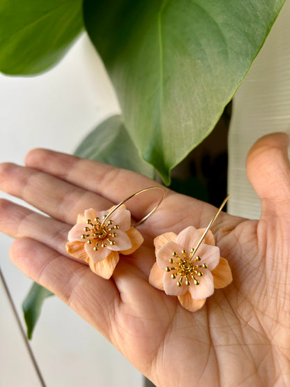 Fleurs d’Abricots