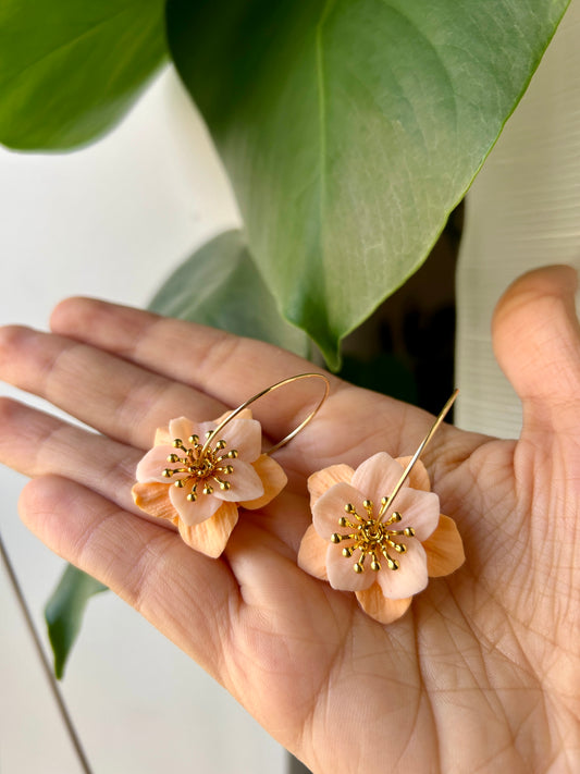 Fleurs d’Abricots