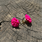 Œillets – Rose Fushia