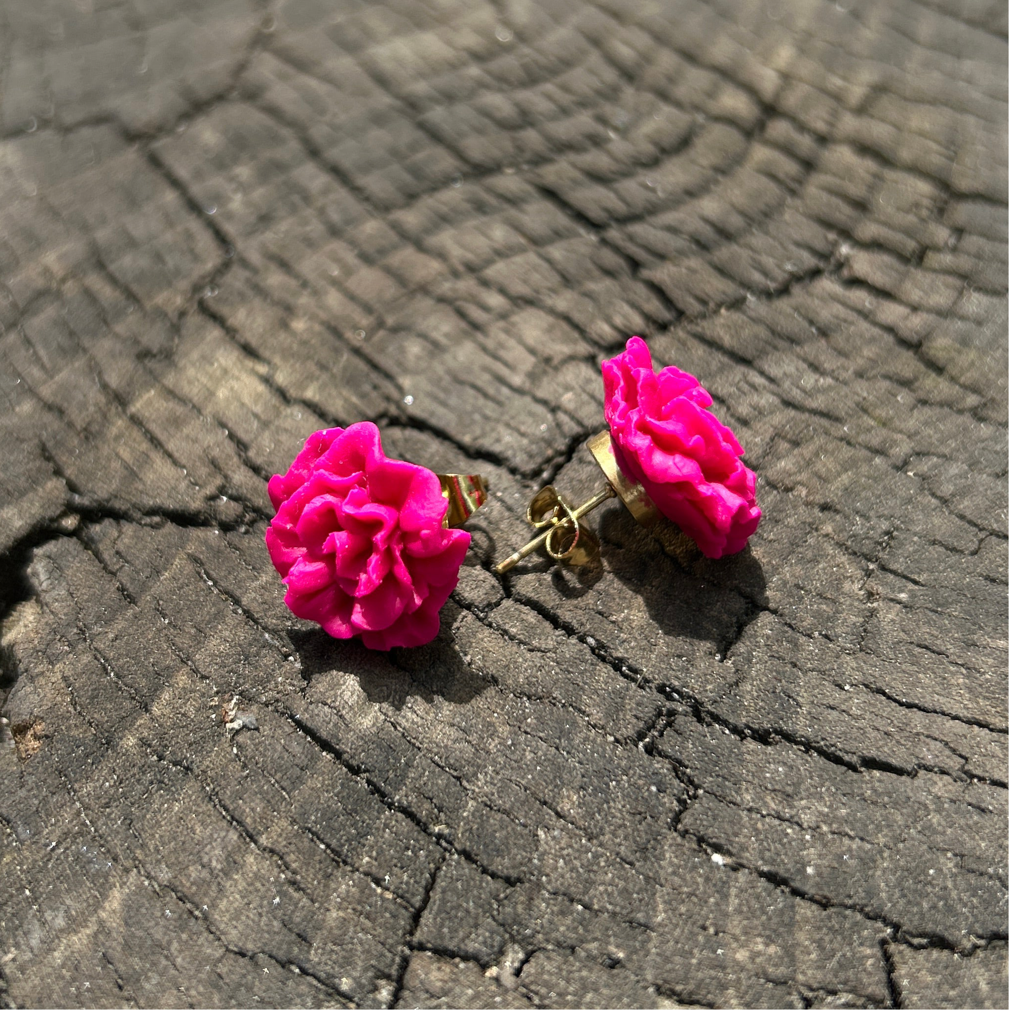 Œillets – Rose Fushia