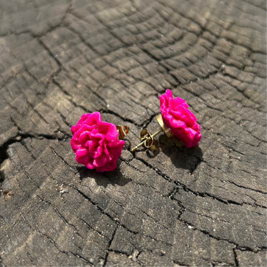 Œillets Rose Fushia