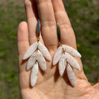 Cascades Florales – Ivoire