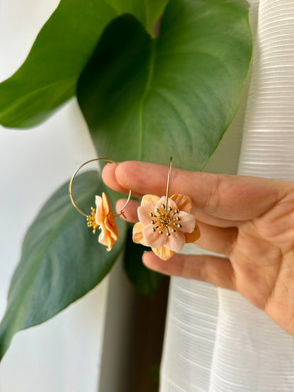 Fleurs d’Abricots