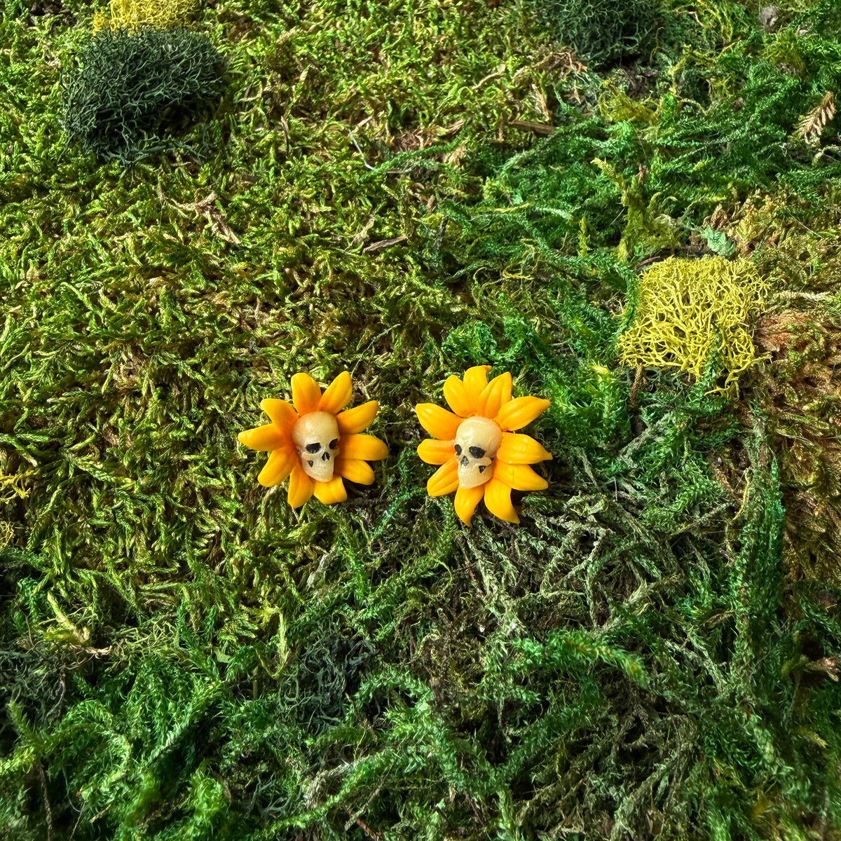 Paire de puces tournesols jaunes à cœur de crâne, photographiée de face sur la mousse.
