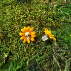 Puces tournesols à crânes en argile polymère sur la mousse, avec une vue de profil et d’une poussette.