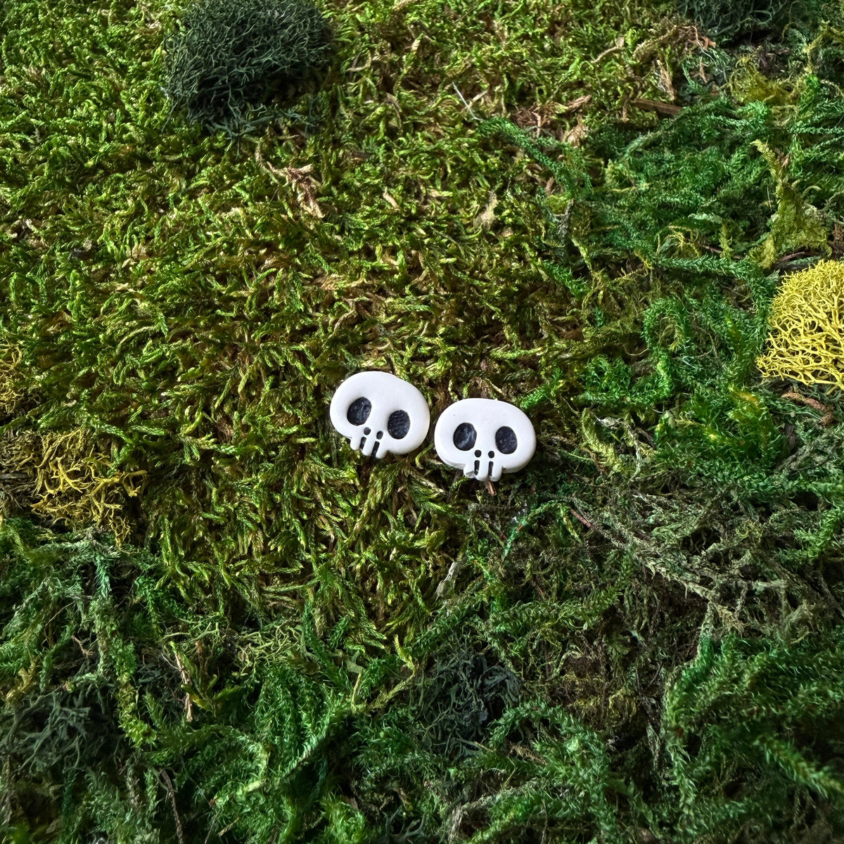 Mini-crânes — puces