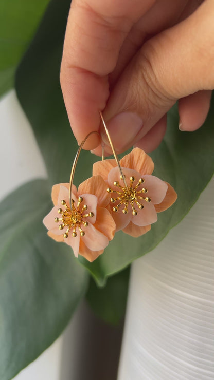 Fleurs d’Abricots