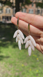 Cascades Florales – Ivoire